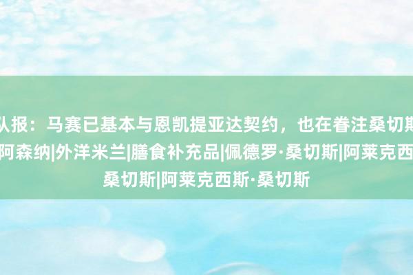 队报：马赛已基本与恩凯提亚达契约，也在眷注桑切斯和黄喜灿|阿森纳|外洋米兰|膳食补充品|佩德罗·桑切斯|阿莱克西斯·桑切斯